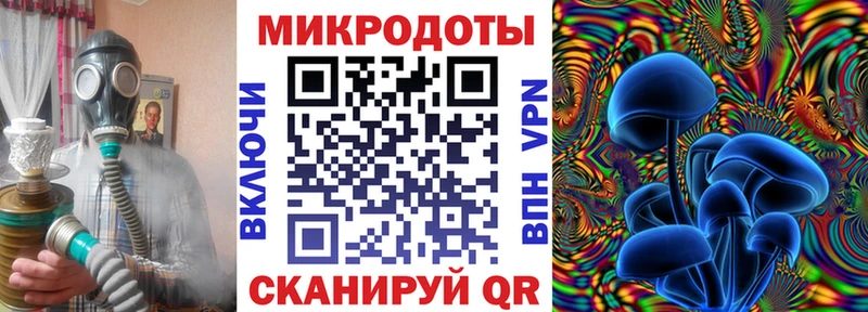 Купить  Красный Кут  Галлюциногенные грибы GOLDEN TEACHER 